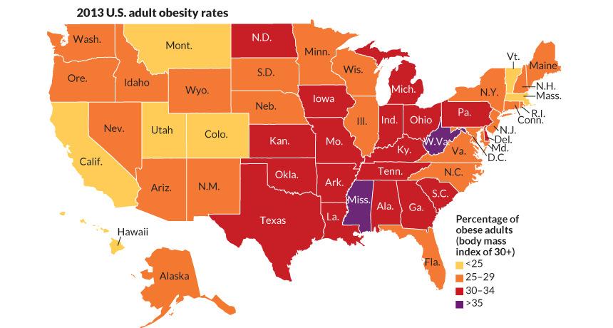 Obesitas in