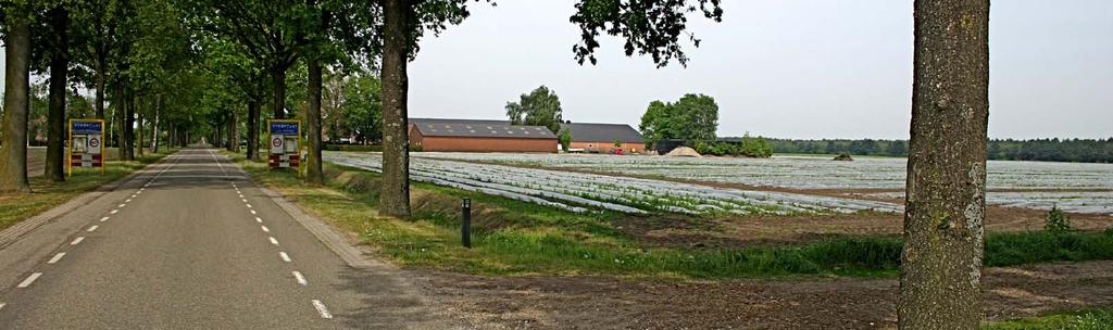 zicht op het ten westen van de Twistweg gelegen