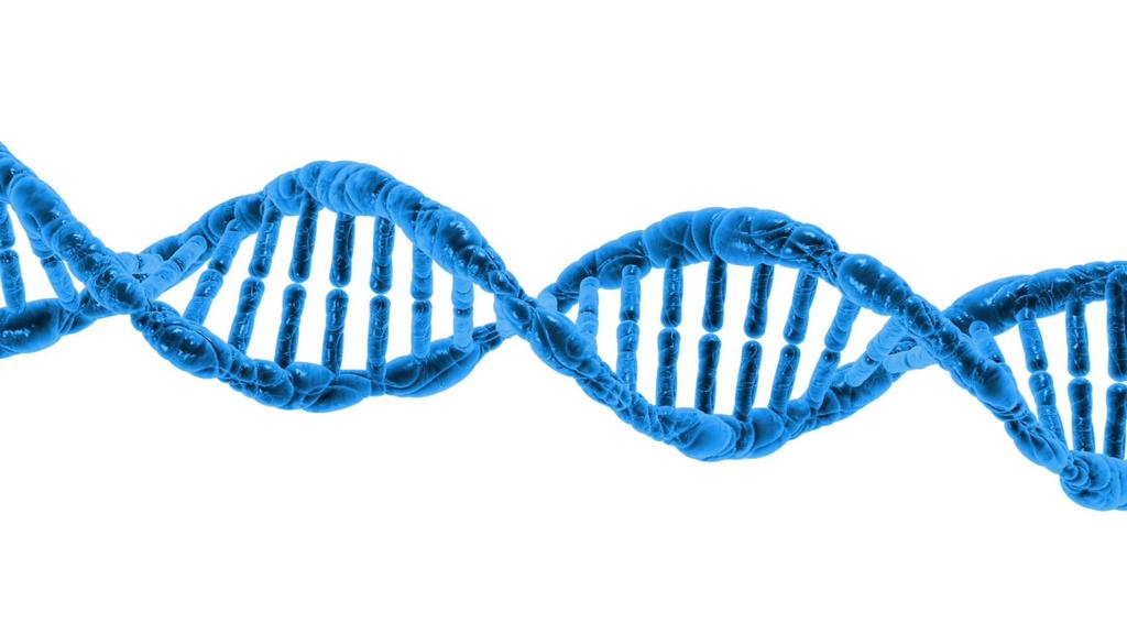 Waarom Zit duurzaamheid ook in jouw DNA?