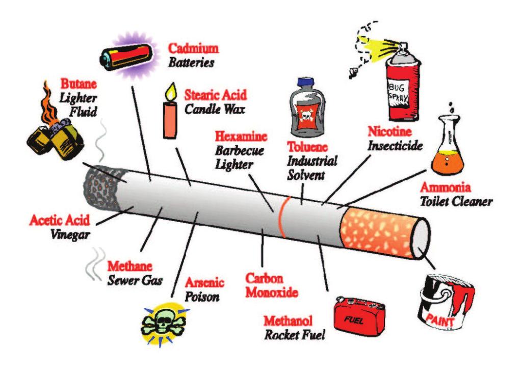 Nicotine Pyridine Polonium Smaakstoffen Teer Terpentine Waterstofcyanide Xyleen Hierdoor is roken verslavend (dat is handig voor de tabaksindustrie) Een giftige stof die impotentie kan veroorzaken en