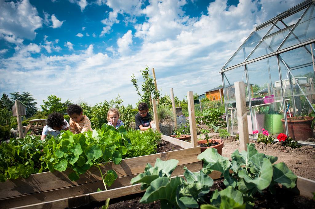 Eten van je plein Op een groen schoolplein kunnen kinderen veel leren over voedsel.