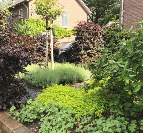 Diegene die de tuin onderhouden kunnen de vruchten plukken van hun arbeid. De moestuin wordt afhankelijk van het seizoen ingeplant en geoogst.