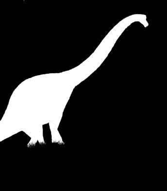 Reis door het tijdperk van de dinosaurussen in hun natuurlijke omgeving, van de eerste dino s tot hun afstammelingen Een prachtig pop-up boek met