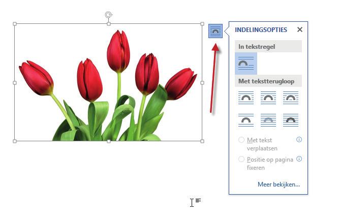 Objecten verplaatsen Afbeelding verplaatsen Wanneer je een afbeelding naar een andere plek in het document wilt verplaatsen, klik je op het betreffende object en verschijnt een venster met