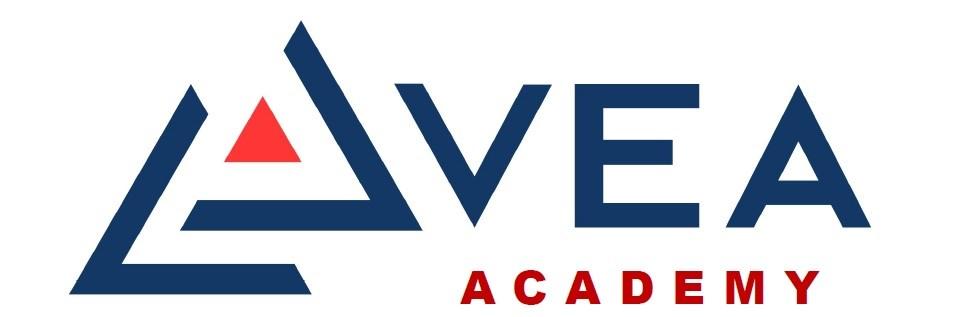 2.5. VEA ACADEMY EURO 1.250 (excl. 21% BTW) VEA Academy, een ambitieus project van VEA jongeren. Investeren in de toekomst!