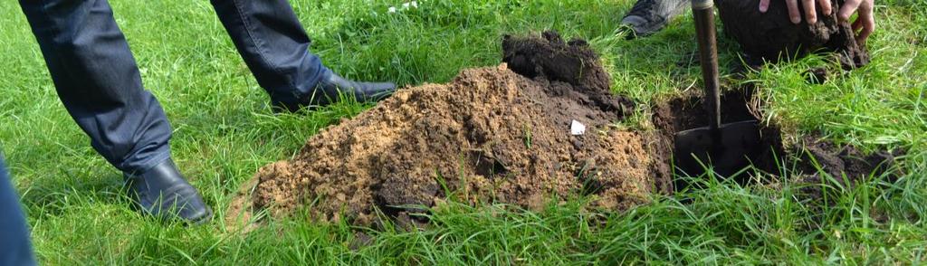 Goede graspercelen kunnen meer dan 1 meter diep wortelen; als je meet dat de beworteling na 15 cm ophoudt, dan weet je dat de grond verdicht is; Door verdichting is de opbrengstderving van grasland