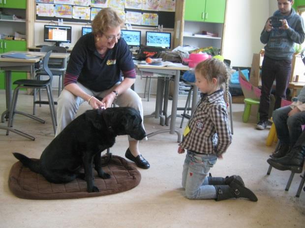 groep 3b: Een echte hond in de klas In info 21 kon u lezen dat in de kleutergroep lessen zijn gegeven over