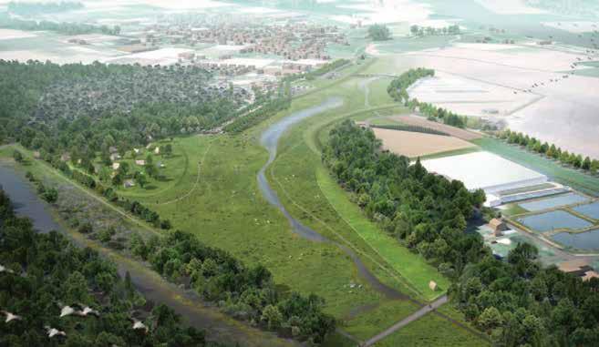 Toekomstimpressie Oude Maasarm 5 5 Aan de linkerhand heeft u zicht op de toekomstige uitstroomopening van de Oude Maasarm bij Blitterswijck.