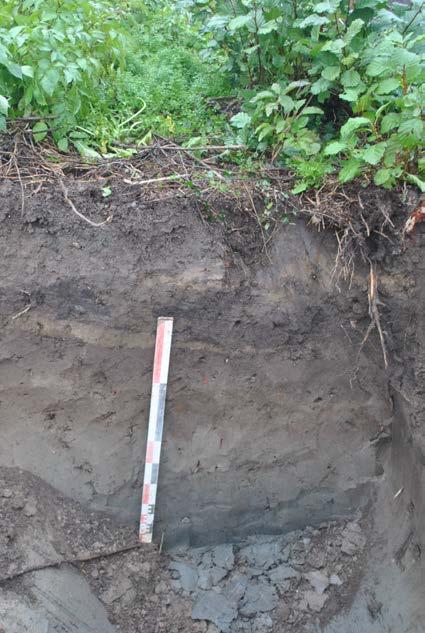 2 Assessment van het sporenbestand Het archeologisch relevant niveau (aanlegvlak)