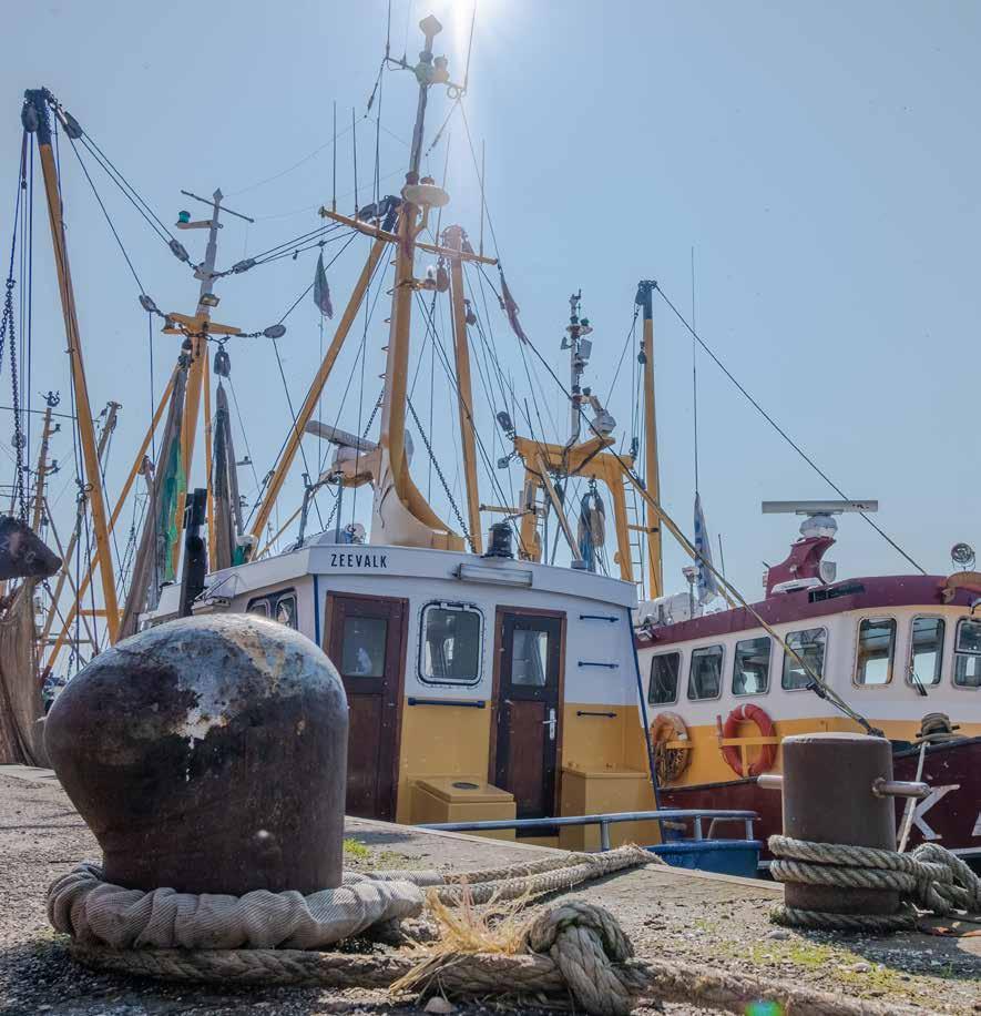 CULTUUR EN VISSERIJ Afsluiting Lauwerszee Vroeger stroomden zoet en zout water in elkaar over in de Lauwerszee. Op 23 mei 1969 kwam daar een einde aan.