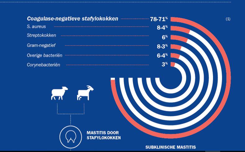 Mastitis op uw bedrijf? VIMCO (CAE) 1: BERGONIER D.