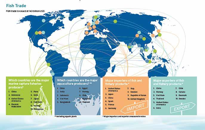 Figuur 5: De wereldwijde handel van vis met een
