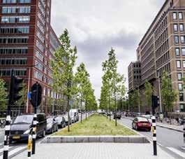 Stadsstraat met berm Groene