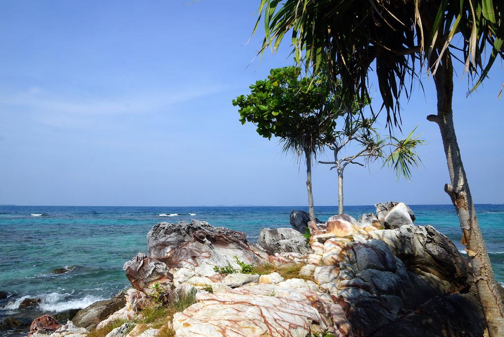 a. de prachtige parelwitte stranden van Karimunjawa eiland, maar toch ook naar unieke natuurgebieden zoals het schitterende