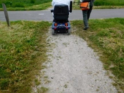 3. Tijdens de schouw hebben wij enkele paden gezien waar het gras langzaam doorgroeit.