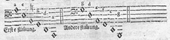 voetnoten, maar dat deed hij niet bij Niedts beschrijving van de violone als een G-violone. Mattheson noemde de klank van de violone in zijn eigen boek dik en in 16 -bereik.