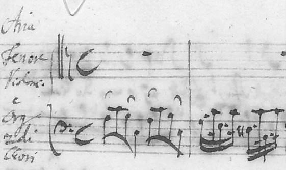 Als Bach een 8 -klank wilde, dan moet de violone 8 zijn geweest. Men kan zich bovendien afvragen of Bach echt Violonc. noteerde of Violoni.