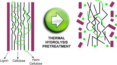 Blad 6 van 13 Thermodrukhydrolyse Procesbeschrijving TDH Bij vergisting worden organische verbindingen afgebroken en omgezet naar kooldioxide en methaan.