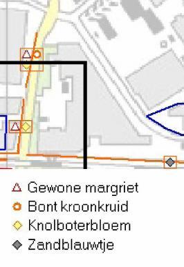 Het betreft echter geen vaste verblijfsplaatsen of belangrijke vlieg- of foerageerplaatsen. Naast vleermuizen zijn in de omgeving van het Intermeco-terrein waarnemingen bekend van de Egel.