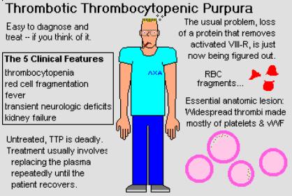 TTP TTP is een acuut ziektebeeld met verhoogd verbruik van trombocyten,