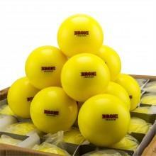 Uitrusting training: Gele zaalballen;