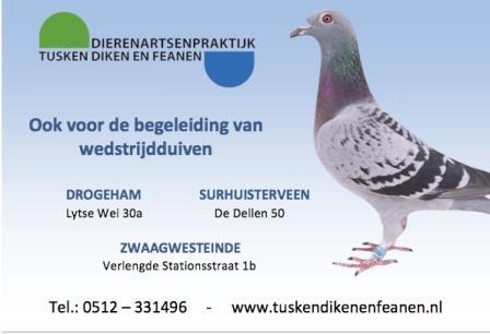 DAP Tusken Diken en Feanen - Lytse Wei 30a, Drogeham - De Dellen 50, Surhuisterveen - Verlengdestationsstr.