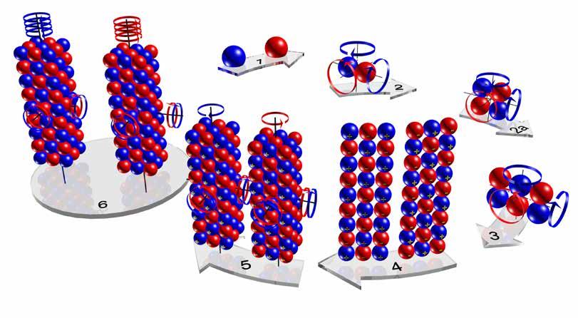 Figuur 15d: De opbouw van het proton/anti proton vanuit higgs deeltjes en fotonen: 1= proton higgs / anti higgs deeltje 2= proton neutrino / anti neutrino 2a= proton dubbelneutrino /