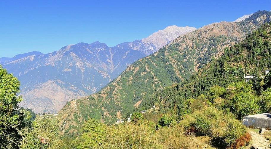 Vroeg in de ochtend gaan we per riksja naar Dharamkot, daar begint de 7 kilometer lange wandeling naar de top van de heuvel Triund.