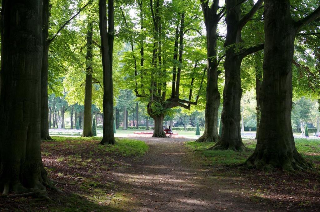 Locaties De activiteiten kunnen op verschillende plaatsen in het park van Kasteel de Haar plaatsvinden.