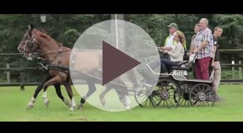 De Cross Country U stapt op bij de manege met Kasteel de Haar op de achtergrond. U begint met een avontuurlijke rit. De tocht gaat grotendeels over onverharde wegen.