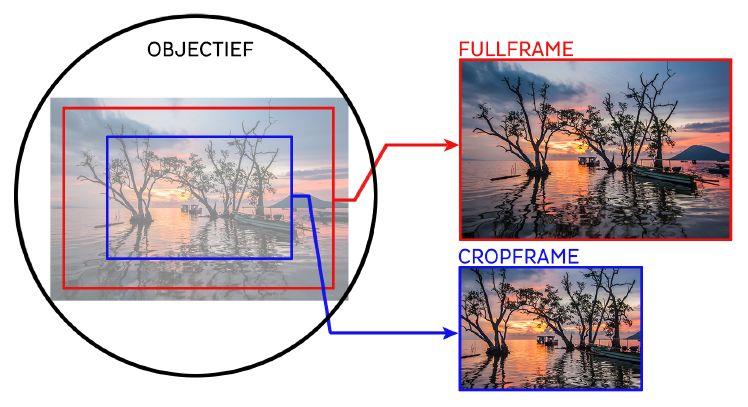 Wat is een cropfactor? De meeste spiegelreflexcamera's hebben een cropfactor. Die geeft aan hoeveel kleiner de beeldsensor is dan we uit het analoge tijdperk gewend zijn.