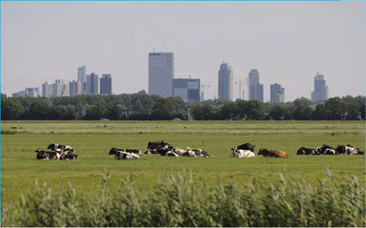 Vervolg: Onderzoeken scenario s Een basis voor een gebiedsbod maken (varianten binnen de scenario s) Per variant impact op randvoorwaarden inzichtelijk: Per variant de meerwaarde op het gebied van: 1.