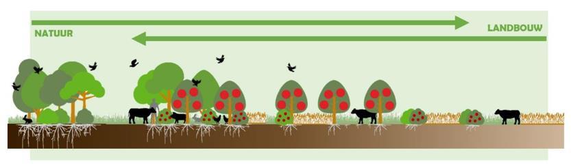Systeembenadering: natuur-inclusief (Bron: Stichting Van Akker naar Bos) Landbouw: Bodem en landschap bepaalt