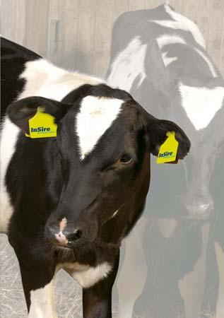 InSire g InSire = GS jonge stieren 4200 stieren/jaar testen via nakomelingen in Nld/Vl g De hoogste InSire