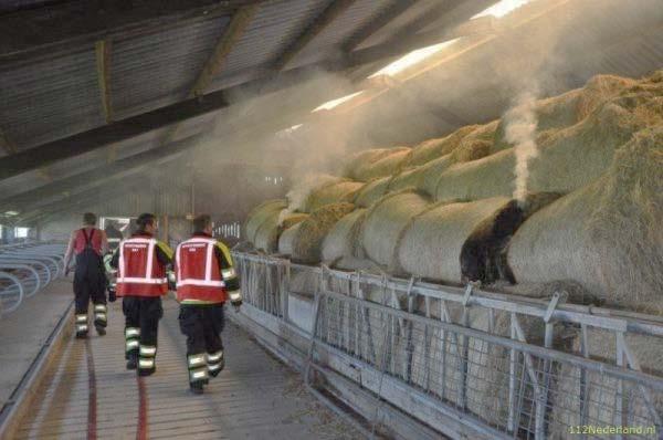 Het natuurlijk brandconcept Uitbranden