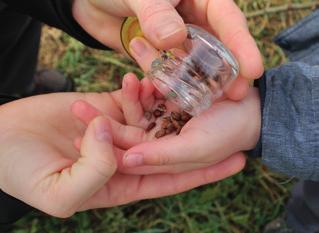 LOGBOEK Al jullie activiteiten rondom de schoolmoestuin gaan jullie bijhouden in een logboek. Per week beschrijven jullie wat jullie gedaan hebben in de moestuin.