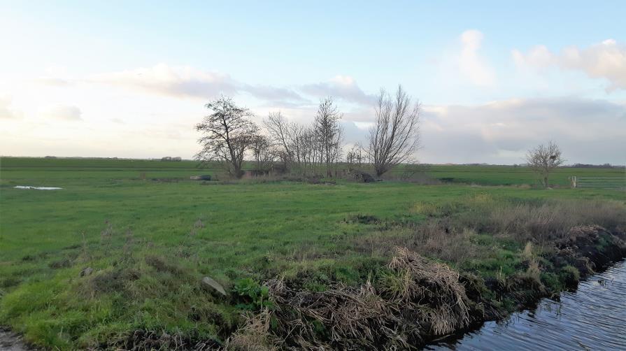 Overigen - 2 Kuilplaten - Mestplaat met betonnen vloer en betonnen wanden.