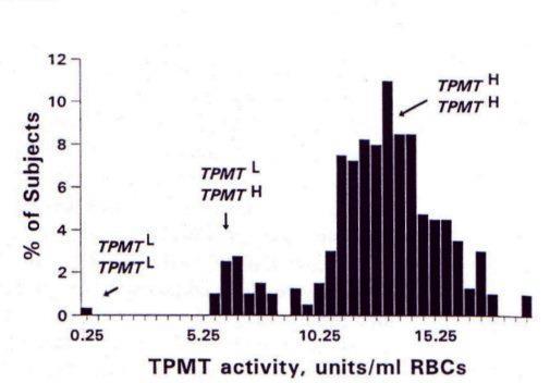 Thiopurine S-methyl transferase (TPMT) TPMT speelt belangrijke rol in thiopurine metabolisme, bepaalt balans tussen 2
