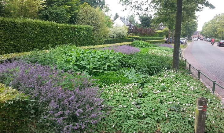 woonwijken green.