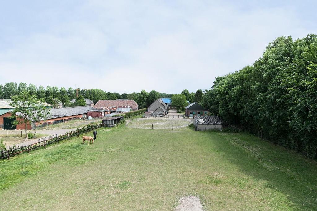 Tuin: Het buitenterrein is voorzien van een paardenstal (afmetingen 9 x 9 meter), een kippenhok (afmetingen 4 x 4meter).