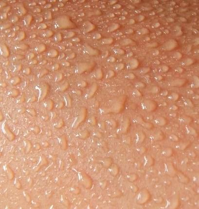 Zweetklieren maken de hele dag door je huid een beetje vochtig zonder dat het nat wordt.