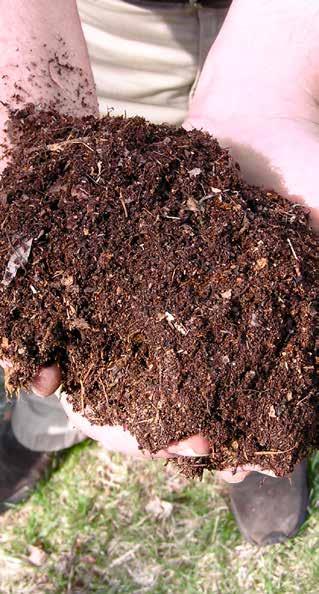 Voorkomt infecties na het snoeien Gebruiksklare compost binnen