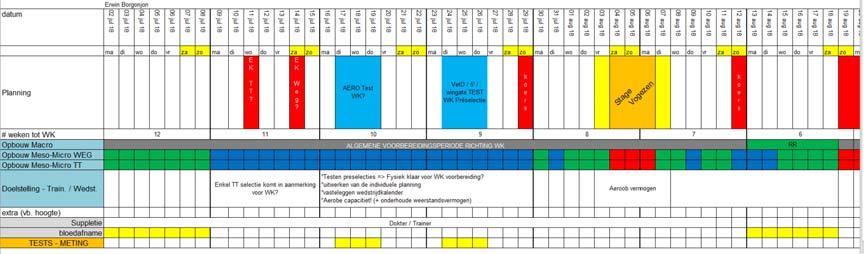 8. Trainingsstages &