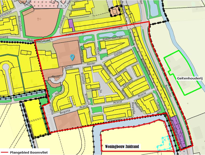 4.1 Plangebied Het plangebied Boomvliet ligt ten westen van een geitenhouderij aan de Boomvliet 3 in Dirksland. Het gebied wordt aangemerkt als bebouwde kom.