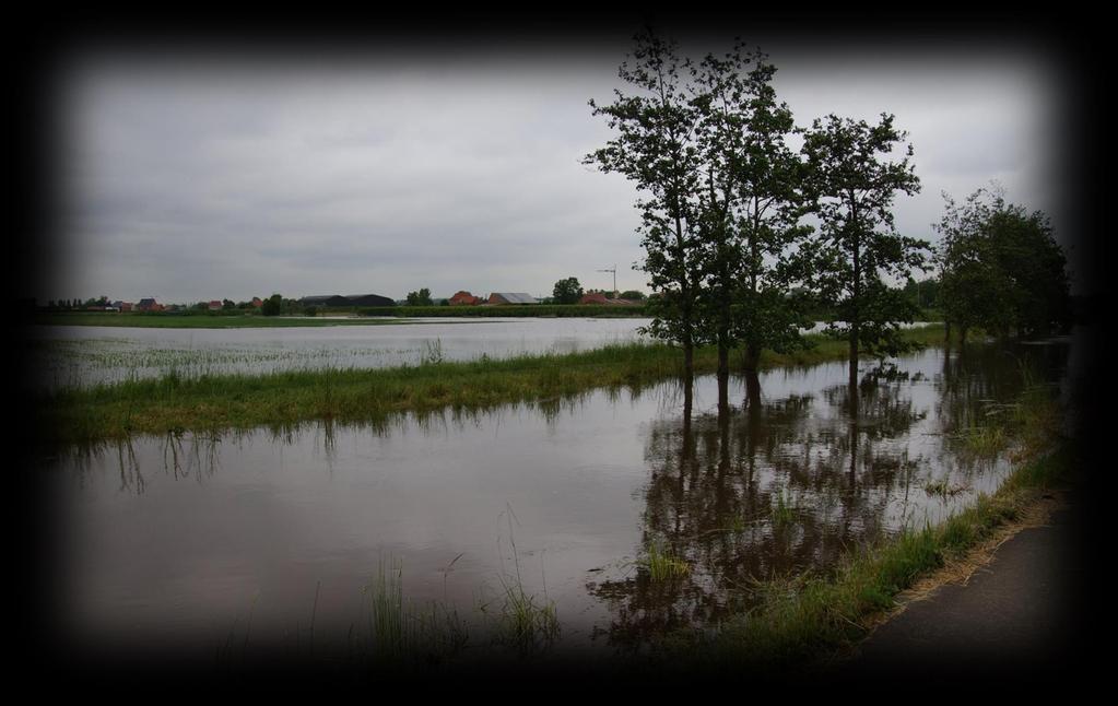 media waterbeheerder