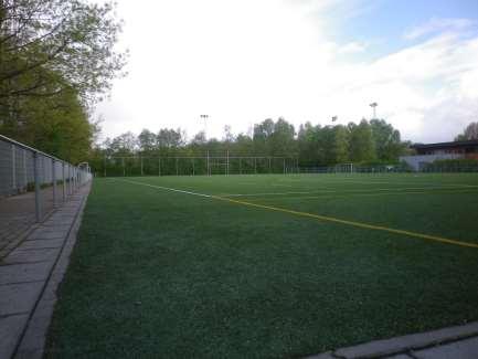Kunstgras Voetbal en tennis Onderhoud Pesticidengebruik Selectief in voorjaar 1