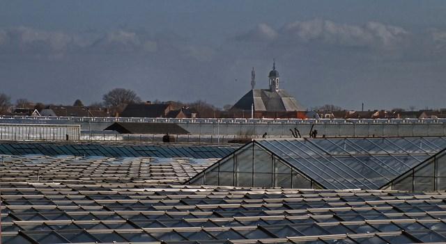 het Westland Het Westland: De Glazen Stad Het is daarom ook niet zo vreemd