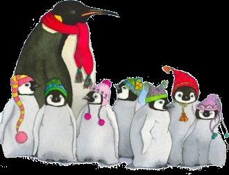 Op de Zuidpool vind je de pinguïns.