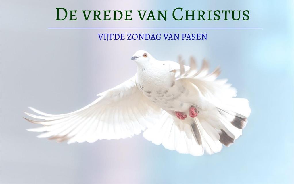 Liturgie voor de vijfde zondag na Pasen 21 mei 2019 Morgendiensten Andreaskerk Voorganger ds.