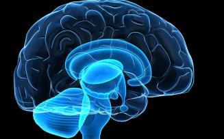 - ook het menselijk brein heeft grenzen - ontstaan - - 3 de of 4 de middelbaar - Dissectie oog les biologie - traanklierwerking - Hoe verdriet -> werking traanklier - Wordt dan psychiater!